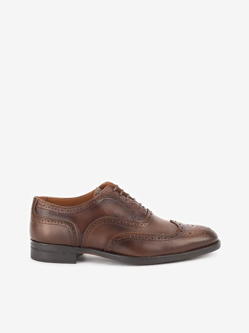 Sapato Oxford Brogue Toscanini em Pele com Perfurado