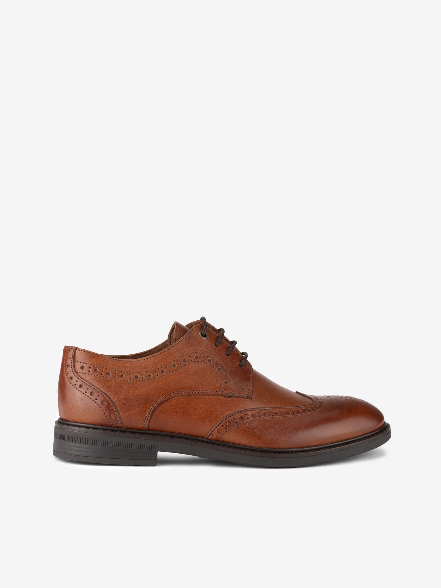 Sapato Brogue Steven Thomas em Pele de Atacador
